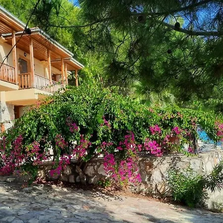 With Sea Views In Faralya Villa *