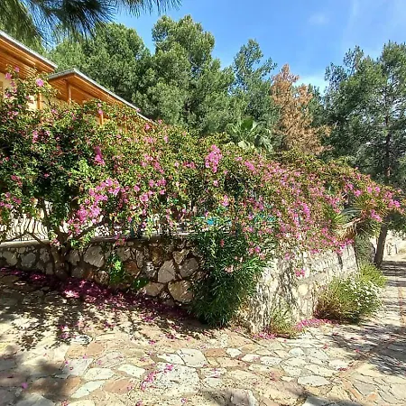 With Sea Views In Faralya Villa