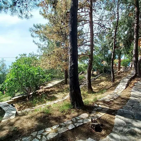 With Sea Views In Faralya * Fethiye