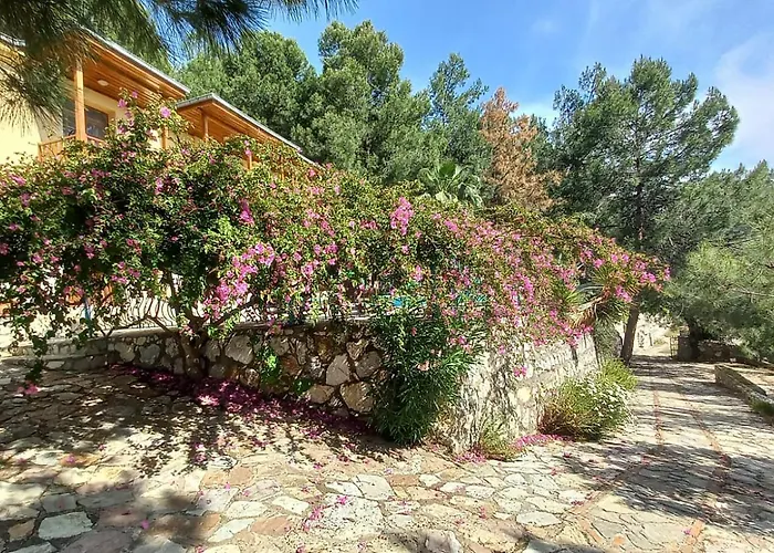 With Sea Views In Faralya Villa